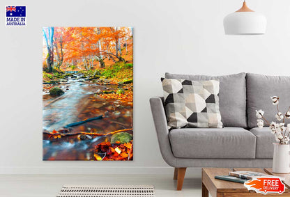 Stream in Autumn Forest Scenery Photograph Print 100% Australian Made