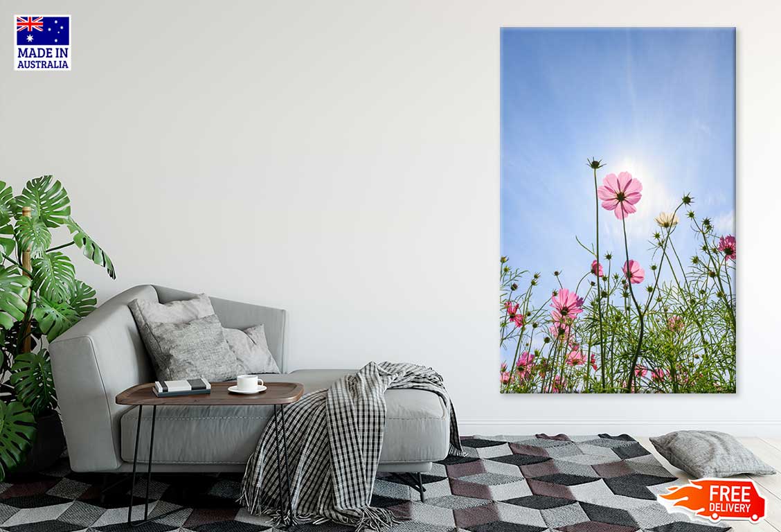 Pink Daisy Flower Plants & Sky View Photograph Print 100% Australian Made