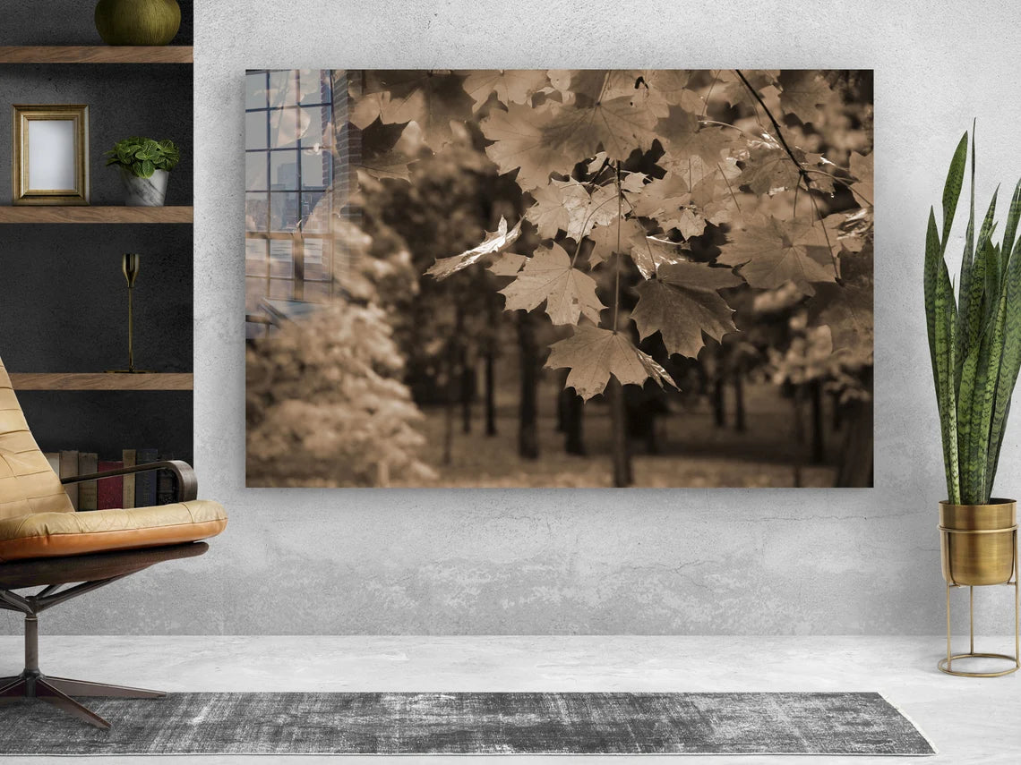 Autumn Tree Faded View Print Tempered Glass Wall Art 100% Made in Australia Ready to Hang