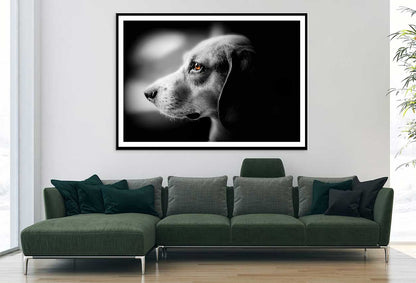 Orange Eye Dog B&W View Photograph Home Decor Premium Quality Poster Print Choose Your Sizes