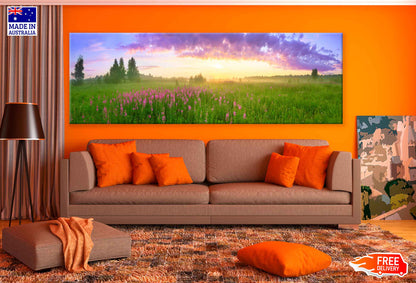 Panoramic Canvas Blossoming Meadow Sunset With Flowers High Quality 100% Australian Made Wall Canvas Print Ready to Hang