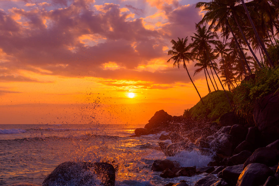 Bella Home Sunset Beach With Palm Trees & Rocks Print Canvas Ready to hang