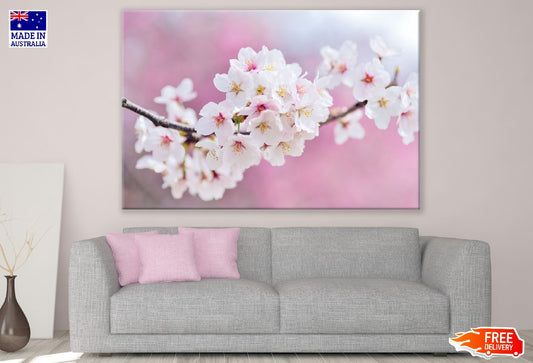 White Blossom Flowers Closeup Photograph Print 100% Australian Made