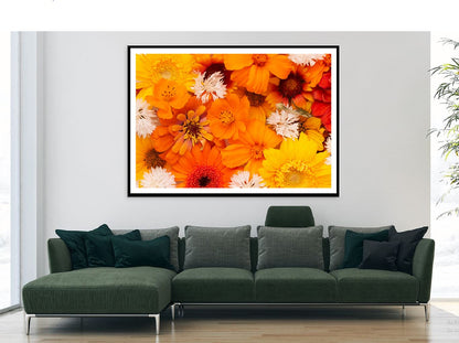 Orange Red & Pink Flowers View Photograph Home Decor Premium Quality Poster Print Choose Your Sizes