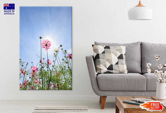 Pink Daisy Flower Plants & Sky View Photograph Print 100% Australian Made