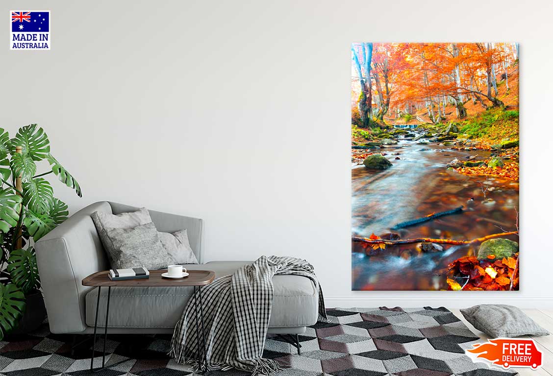 Stream in Autumn Forest Scenery Photograph Print 100% Australian Made