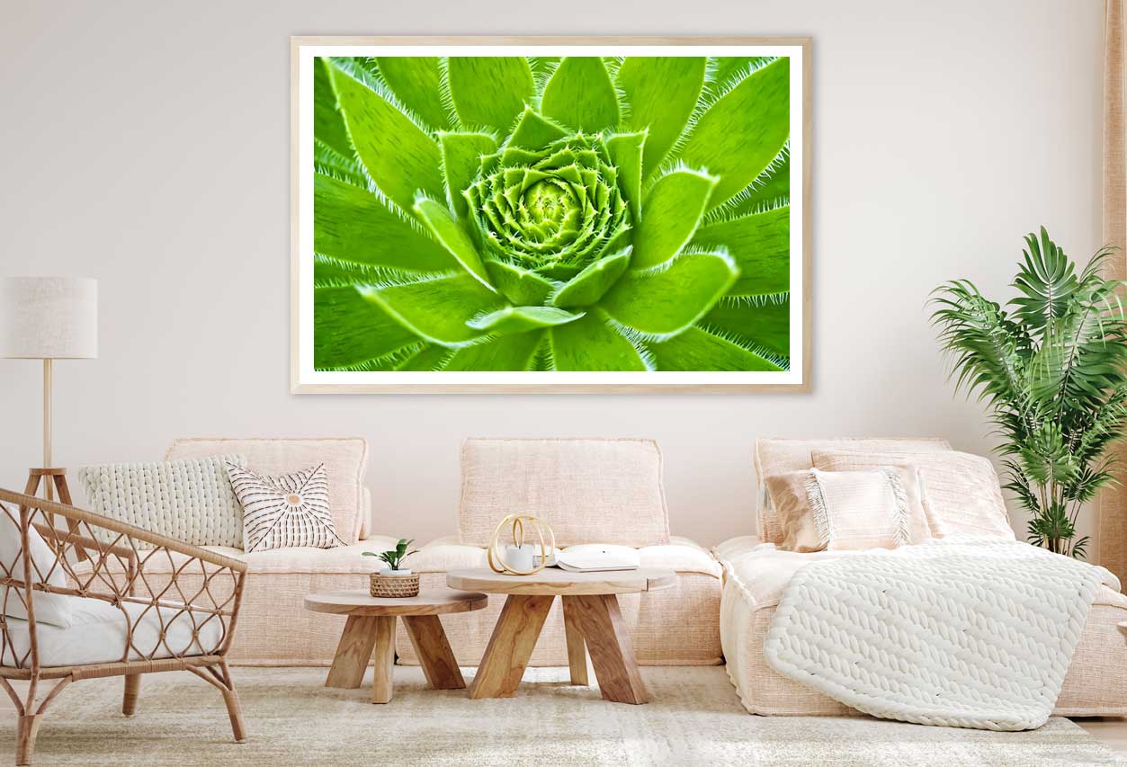 Cuvarkuca Flower Closeup View Home Decor Premium Quality Poster Print Choose Your Sizes