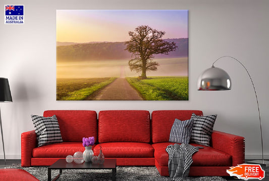 Tree on Green Grass Field Road Photograph Print 100% Australian Made