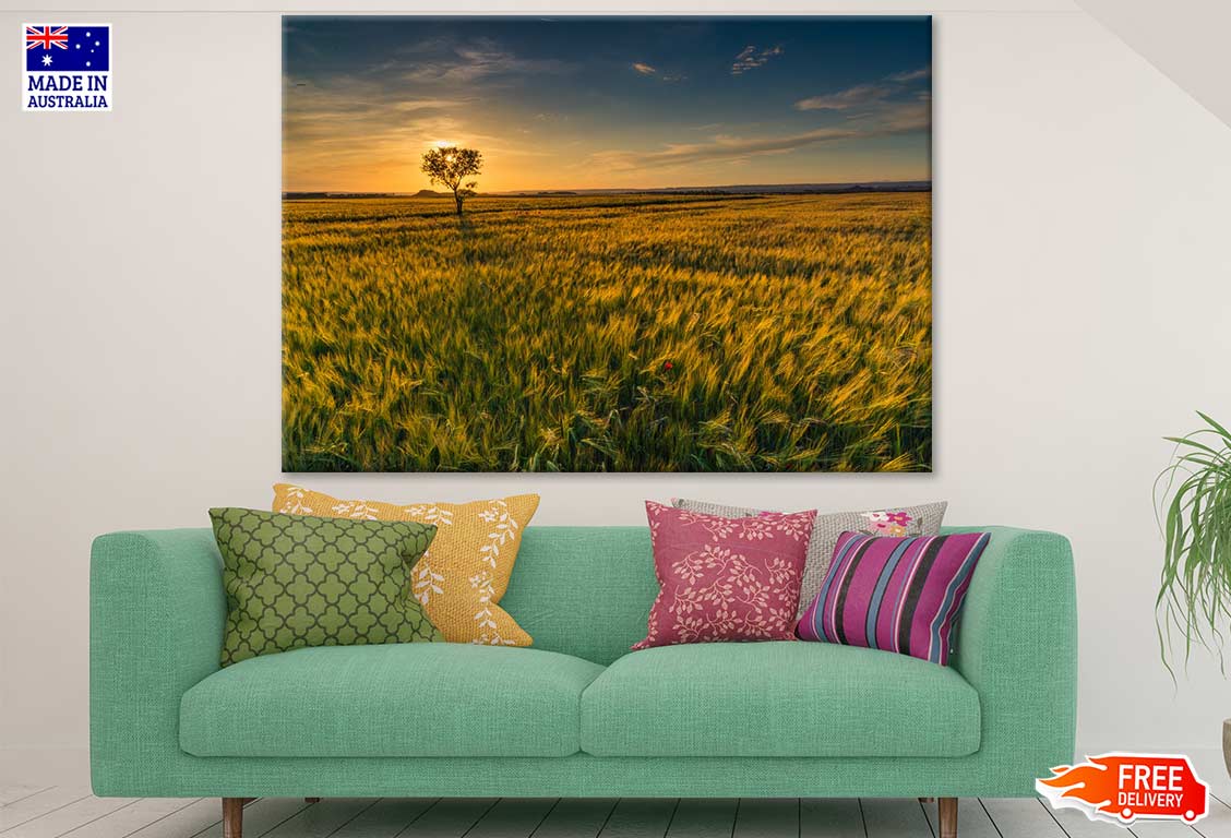 Tree & Grass Field Photograph Print 100% Australian Made