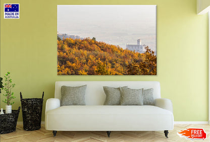 Hill with Autumn Trees & City Photograph Print 100% Australian Made