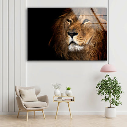 Lion Portrait Photograph Acrylic Glass Print Tempered Glass Wall Art 100% Made in Australia Ready to Hang