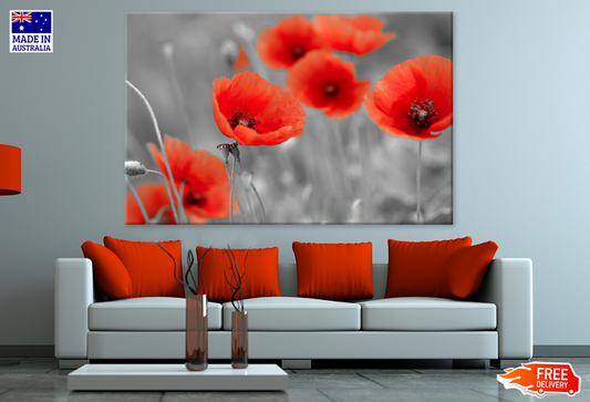 Red Poppies Flower Portrait B&W Photograph Print 100% Australian Made