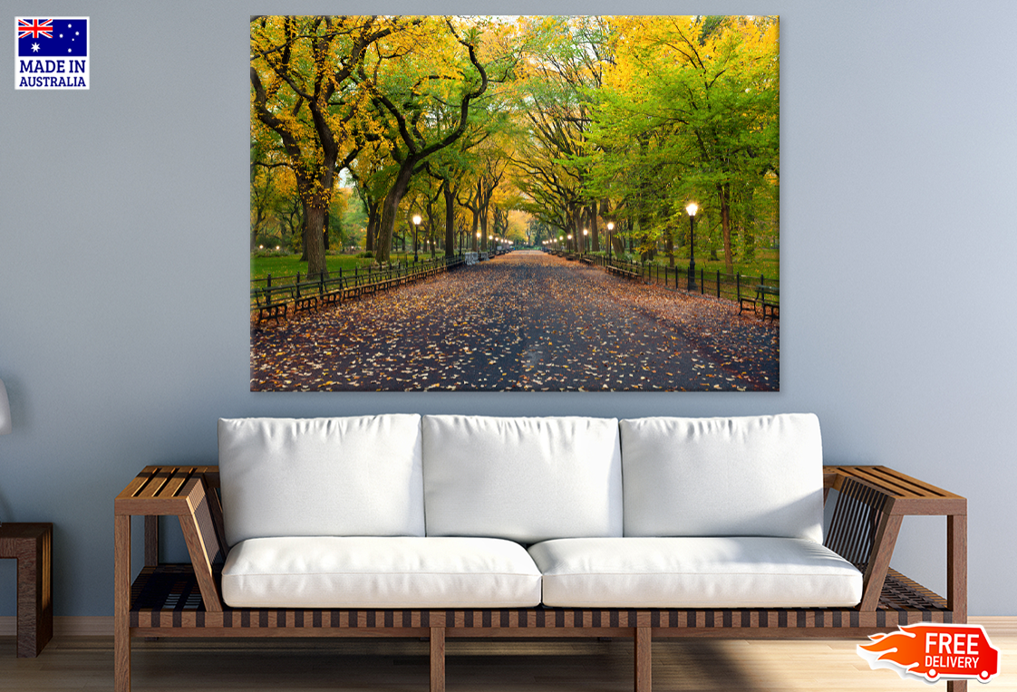 Yellow Flower Trees & Walking Road View Print 100% Australian Made