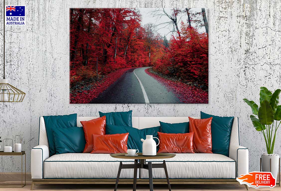 Red Autumn Trees & Road View Photograph Print 100% Australian Made