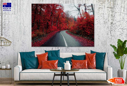 Red Autumn Trees & Road View Photograph Print 100% Australian Made