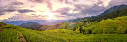 Panoramic Canvas Rice Field Cloudy Sky View Photograph High Quality 100% Australian Made Wall Canvas Print Ready to Hang