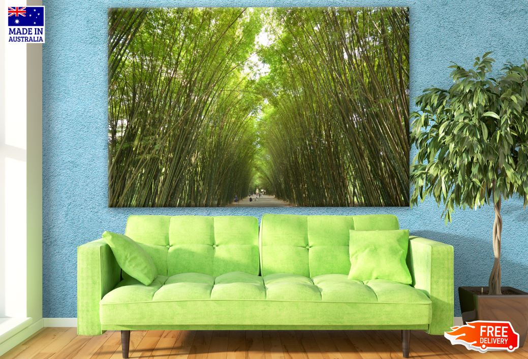 Forest View Print 100% Australian Made