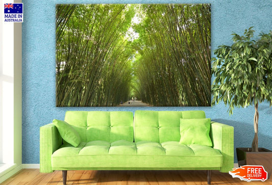 Forest View Print 100% Australian Made