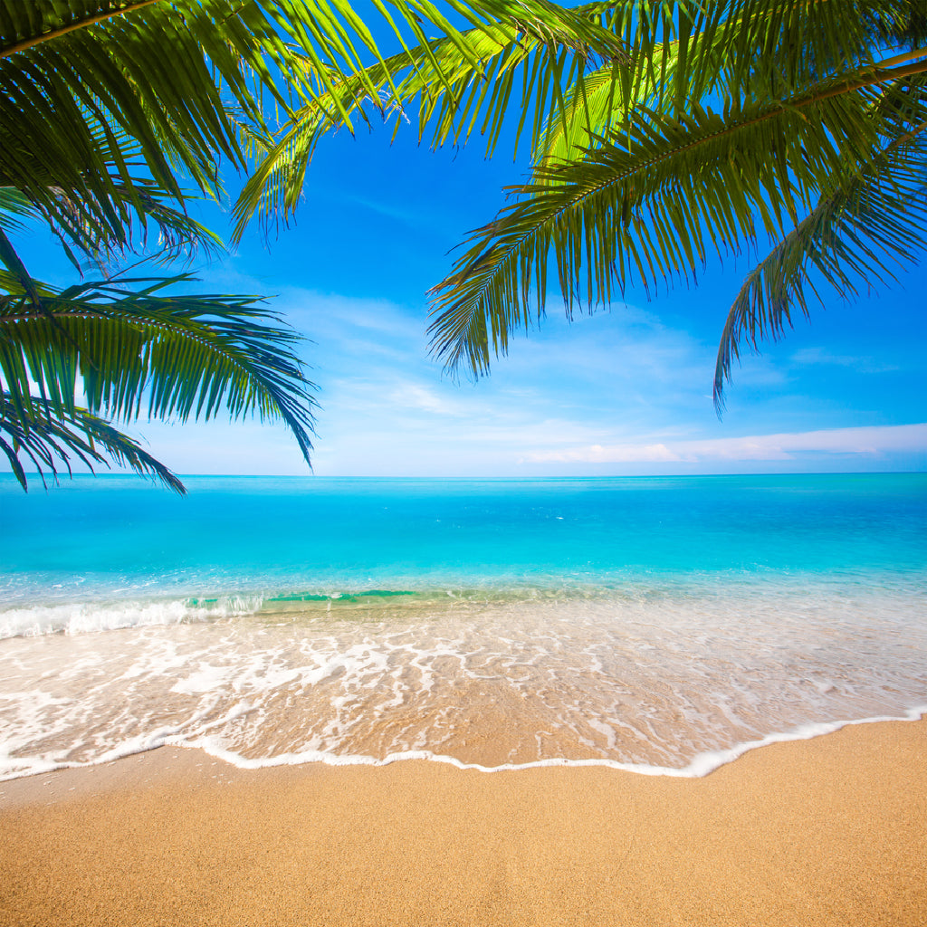 Square Canvas Tropical Beach & Palm Leaves View Photograph High Quality Print 100% Australian Made