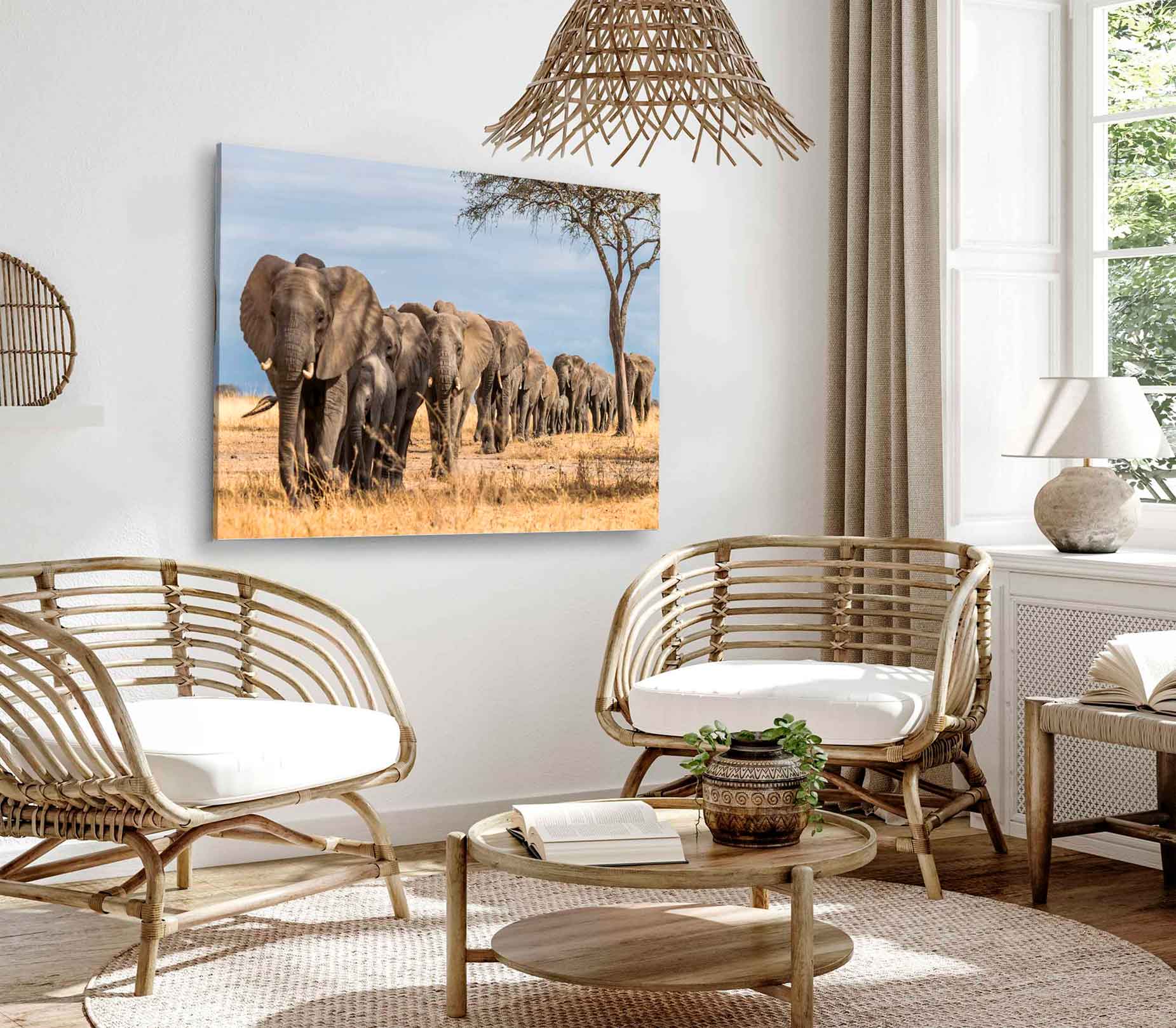 Bella Home Elephants Tree Walking & Tree View Print Canvas Ready to hang