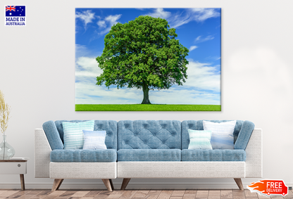 Big Treee & Blue Sky View Photograph Print 100% Australian Made