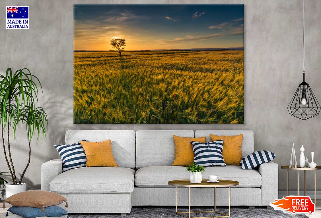 Tree & Grass Field Photograph Print 100% Australian Made