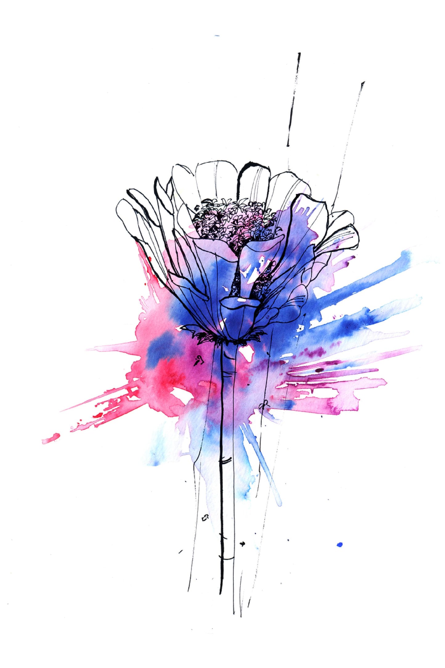 B&W Flower & Pink Blue Abstract Painting Print 100% Australian Made