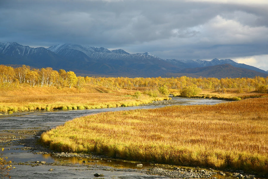 Tundra River Autumn Scenery Photograph Print 100% Australian Made