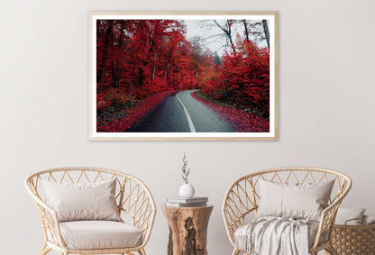 Red Autumn Trees & Road View Photograph Home Decor Premium Quality Poster Print Choose Your Sizes