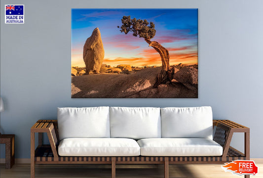 Palmetto Tree & Rocks in Desert Photograph Print 100% Australian Made