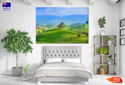 Tree on Green Grass Hill Aerial View Print 100% Australian Made