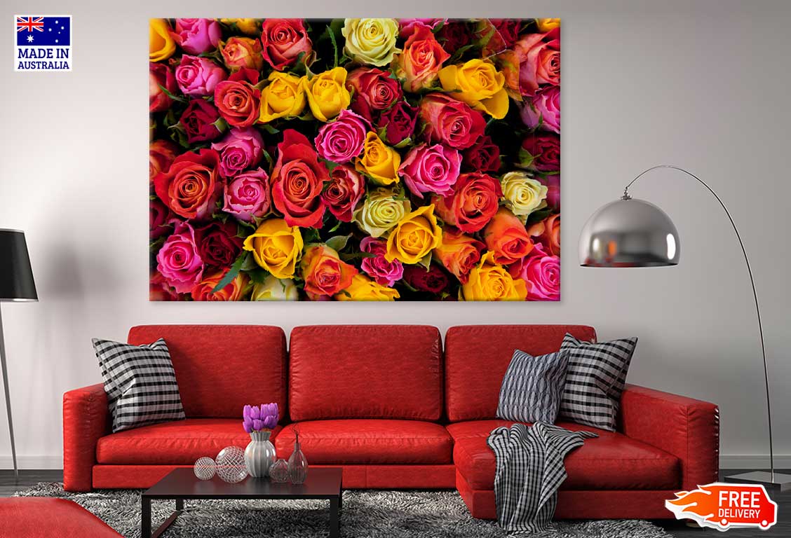 Yellow Red & Pink Roses View Photograph Print 100% Australian Made