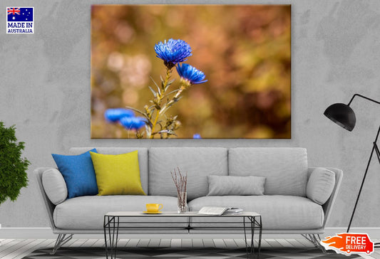 Blue Asters Flowers Closeup Photograph Print 100% Australian Made