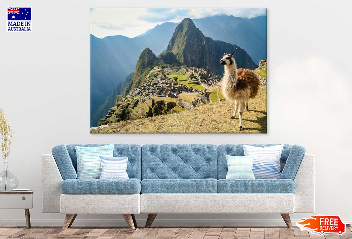 Llama in Ancient Inca Town View Photograph Print 100% Australian Made