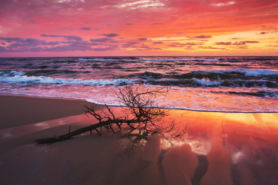 Russia Baltisky Sea Sunset Scenery Photograph Home Decor Premium Quality Poster Print Choose Your Sizes
