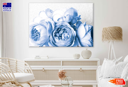 Blue Peony Flowers Closeup View Photograph Print 100% Australian Made