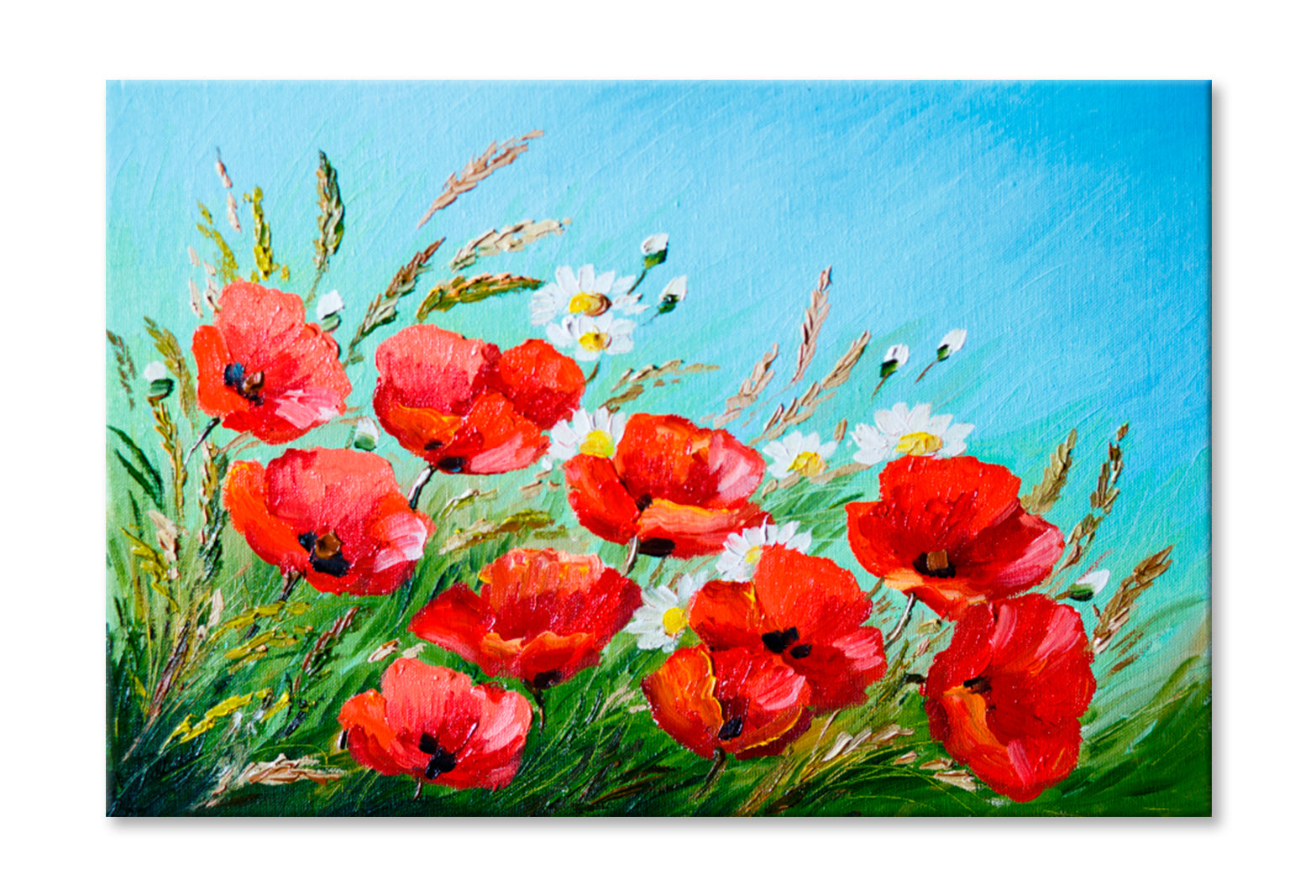 Poppies In The Field Oil Painting Wall Art Limited Edition High Quality Print Stretched Canvas None