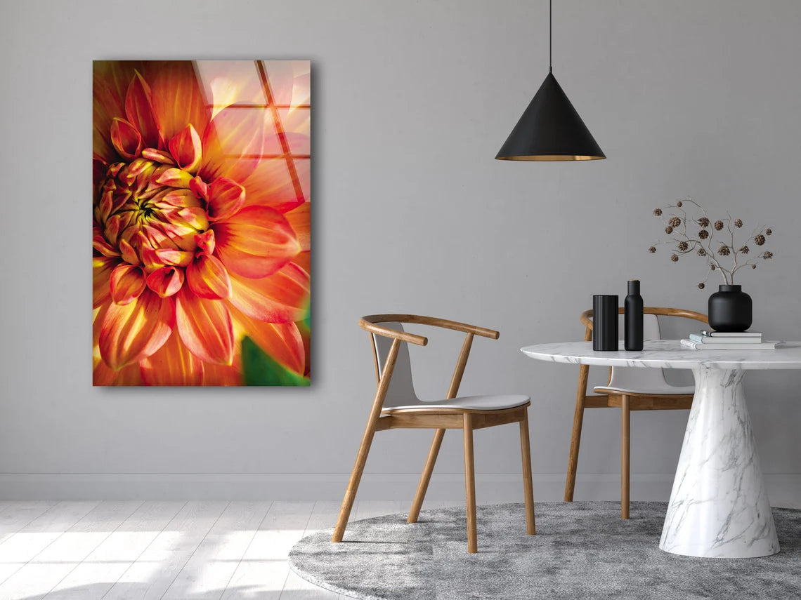 Orange Flower Closeup Photograph Acrylic Glass Print Tempered Glass Wall Art 100% Made in Australia Ready to Hang