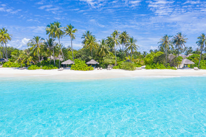 Palms on Sandy Beach Photograph in Maldives Home Decor Premium Quality Poster Print Choose Your Sizes