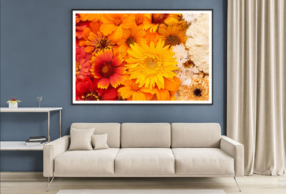 Yellow & Orange Daisy Flowers Photograph Home Decor Premium Quality Poster Print Choose Your Sizes