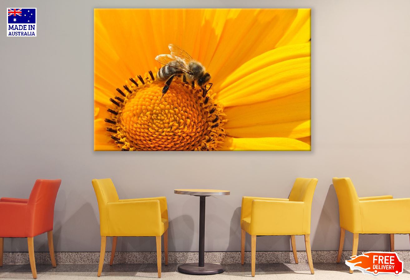 Bee Getting Nectar on Sunflower Photograph Print 100% Australian Made