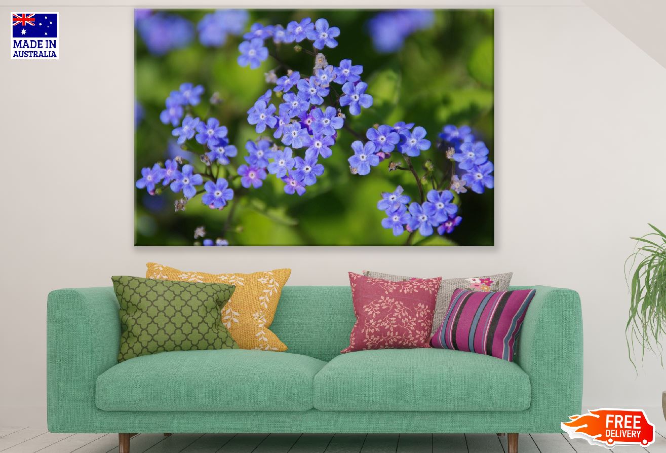 Blue Cerato Flowers Closeup Photograph Print 100% Australian Made
