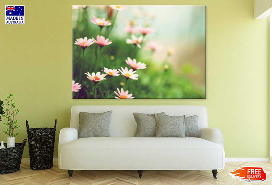 Pink Daisy Flowers Plants View Photograph Print 100% Australian Made