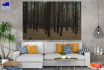 Forest Photograph Print 100% Australian Made