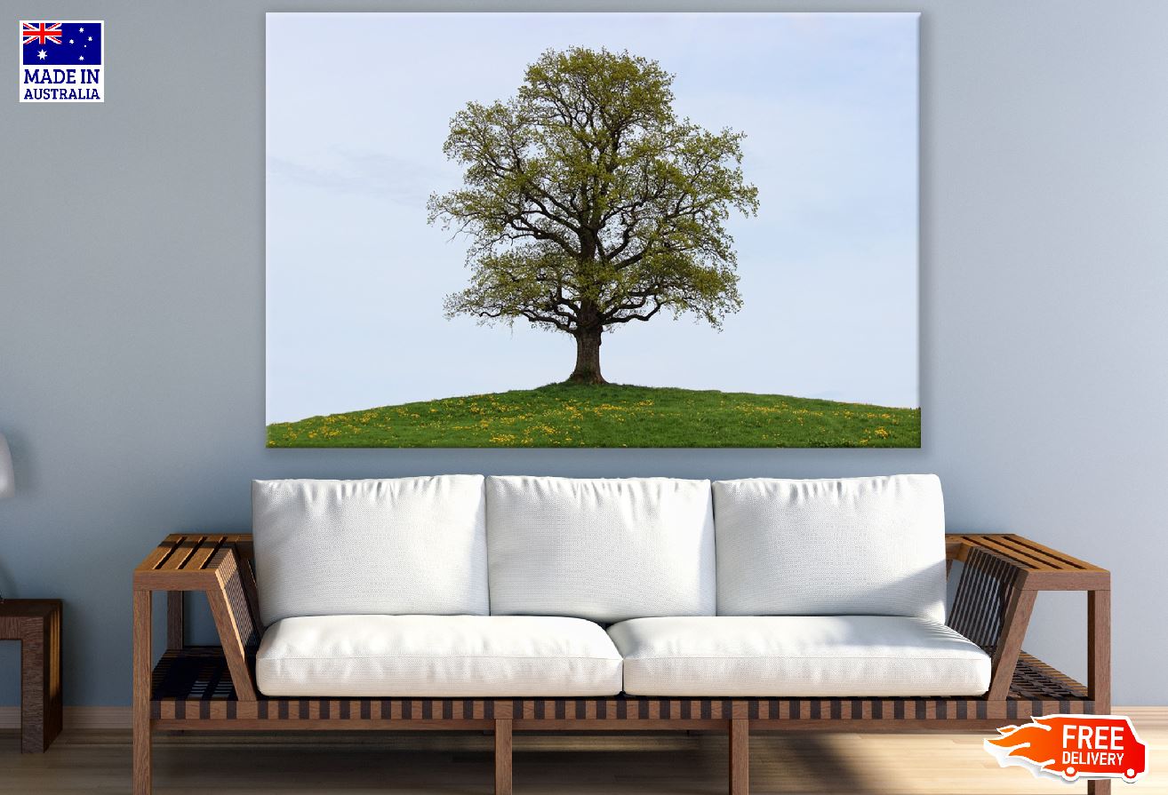 Autumn Tree on Mountain & Sky Photograph Print 100% Australian Made