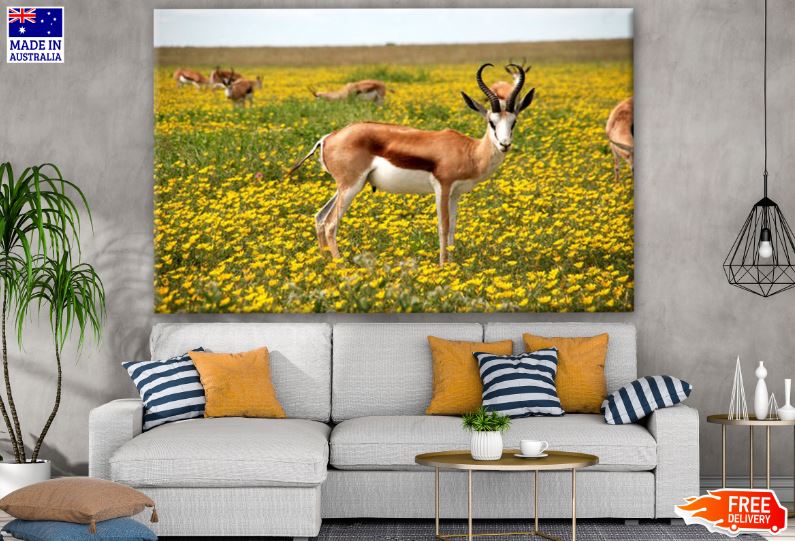 Deer on a Yellow Flower Field Photograph Print 100% Australian Made