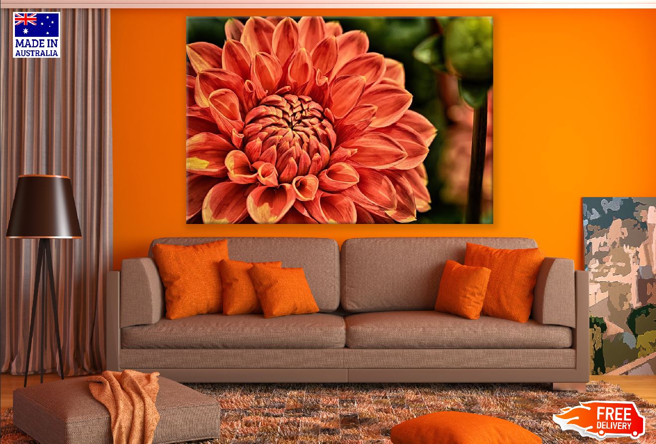 Orange Dahlia Flower Closeup Photograph Print 100% Australian Made