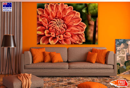 Orange Dahlia Flower Closeup Photograph Print 100% Australian Made