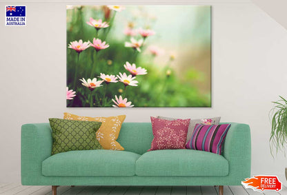 Pink Daisy Flowers Plants View Photograph Print 100% Australian Made