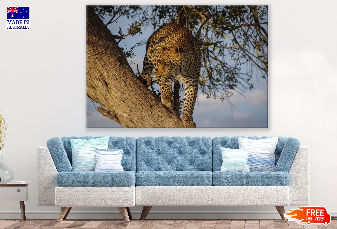 Jaguar in a Tree Closeup Photograph Print 100% Australian Made